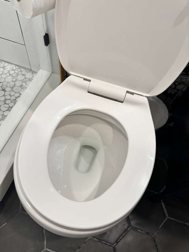Real LOOM work showing the toilet clean and sanitized